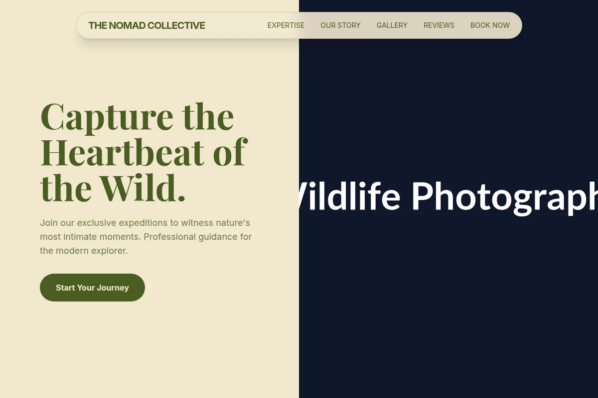 wildlife-photography